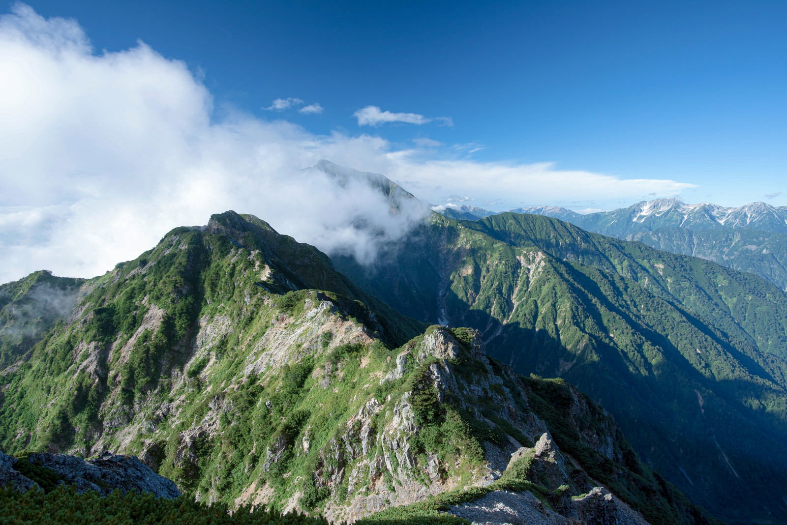 登山道から見た緑豊かな山々の連なりと青空に浮かぶ雲