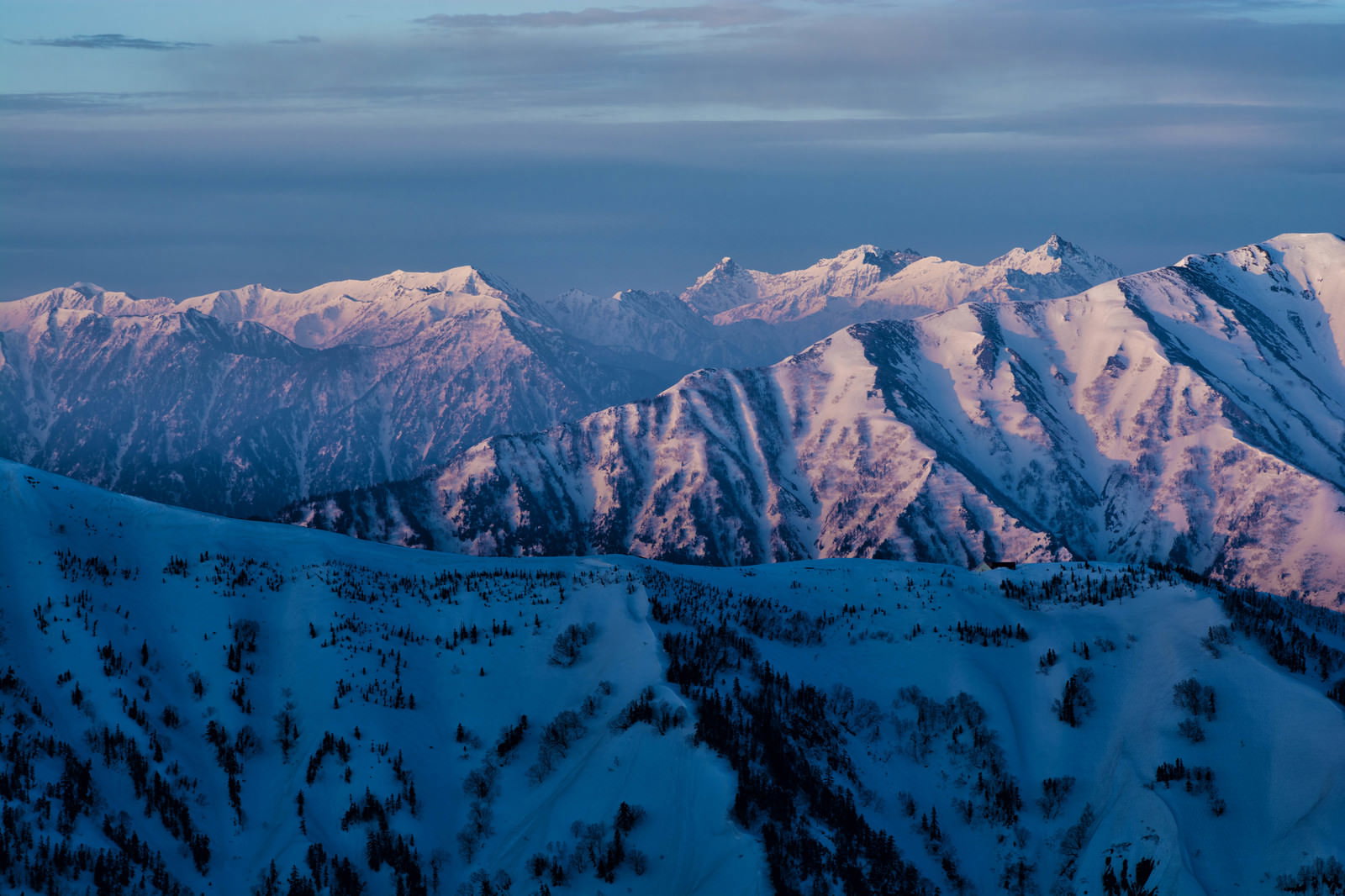 朝焼けでピンク色に染まった雪化粧の北アルプス連峰
