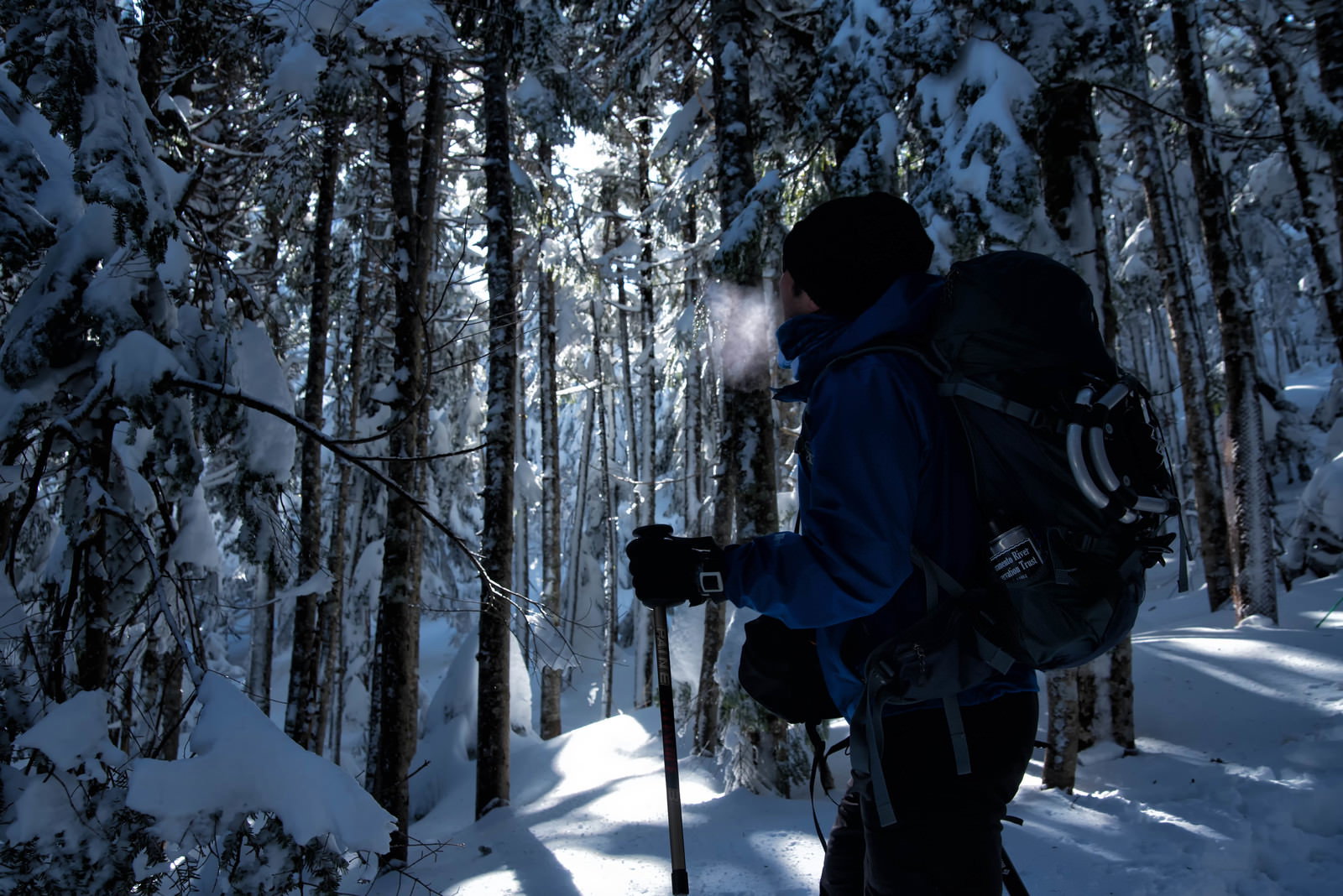 雪に覆われた森林の中をバックパックを背負って歩く登山者の男性