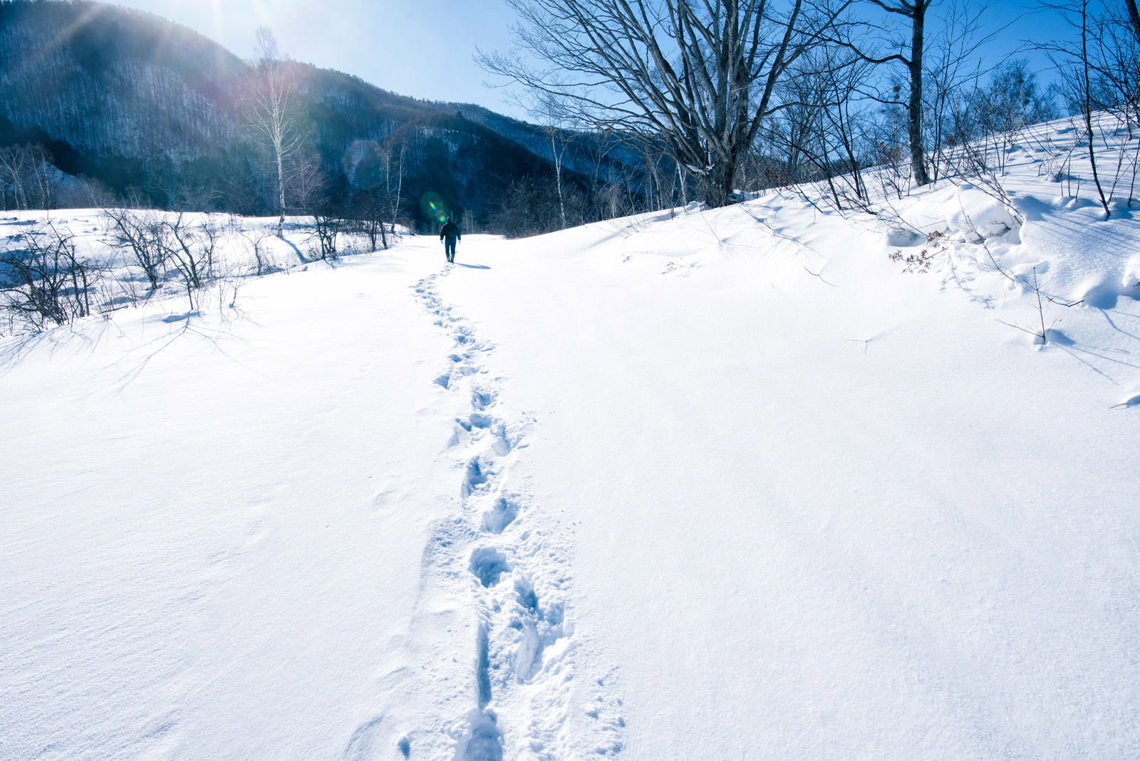 雪道に残る足跡と青空、太陽の光が差し込む冬の風景