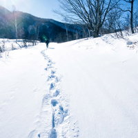 晴れた冬の雪道に続く足跡と青空の写真