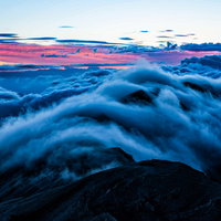 朝焼けに染まる北アルプスの小蓮華岳と雲海の写真