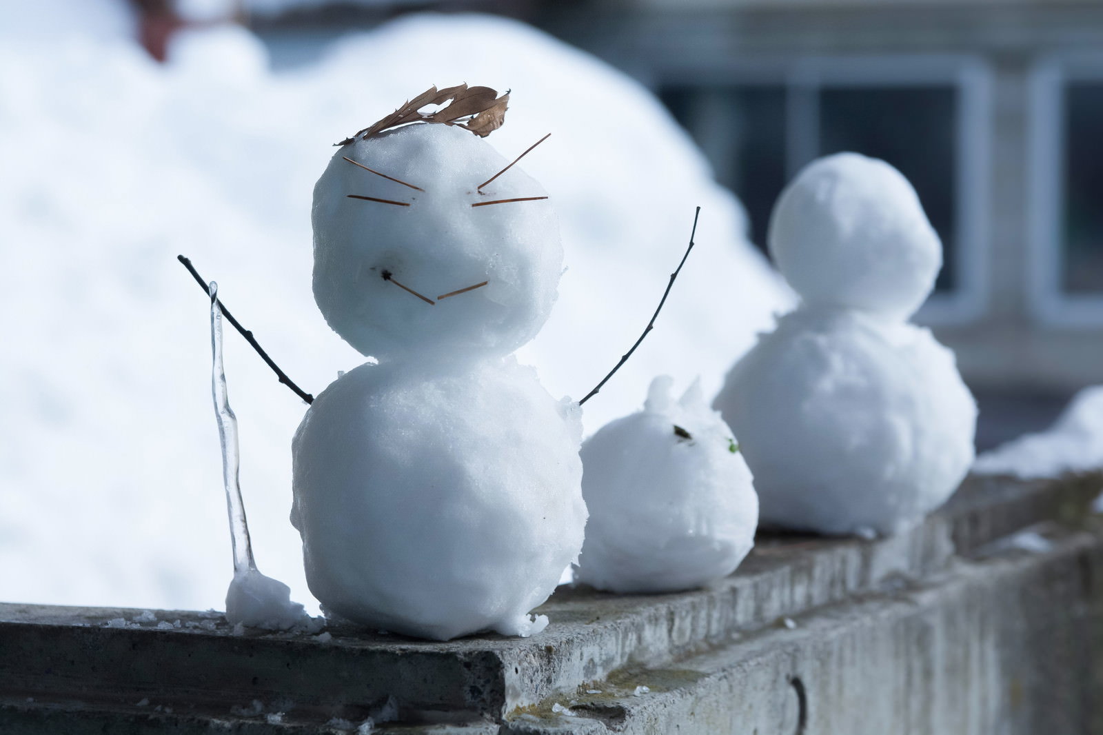 ニヒルな表情をした白い雪だるまが屋外に立っている