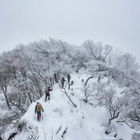 丹沢主稜線を霧氷が彩る冬の雪山で進む登山パーティーの写真