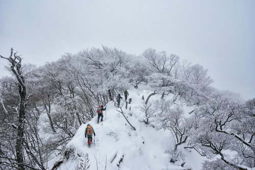 丹沢主稜線を霧氷が彩る冬の雪山で進む登山パーティー
