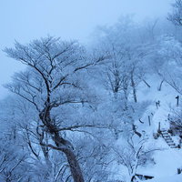 丹沢の樹氷と雪山の冬景色 厳冬期の登山風景の写真