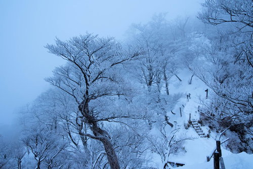 丹沢の樹氷と雪山の冬景色 厳冬期の登山風景