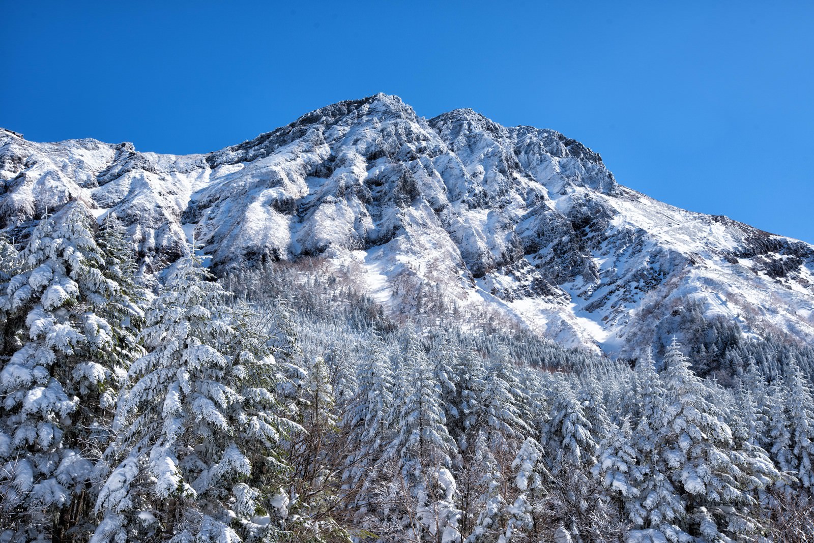 雪に覆われた赤岳の主稜線と青空が広がる冬山の風景