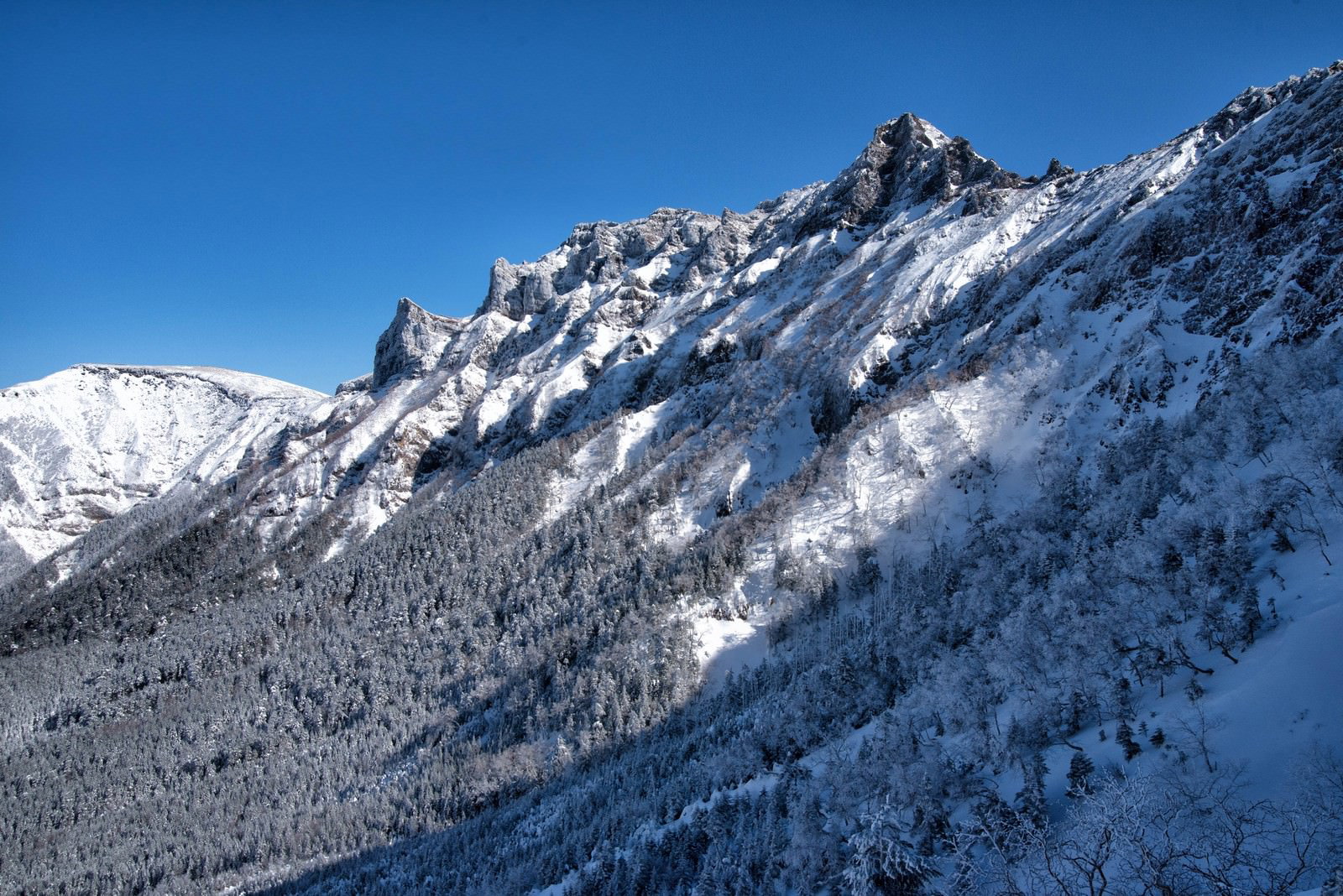 雪に覆われた険しい横岳の山々が青空の下に連なる厳冬の風景