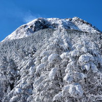 樹氷に覆われた白い森と阿弥陀岳の冬景色の写真