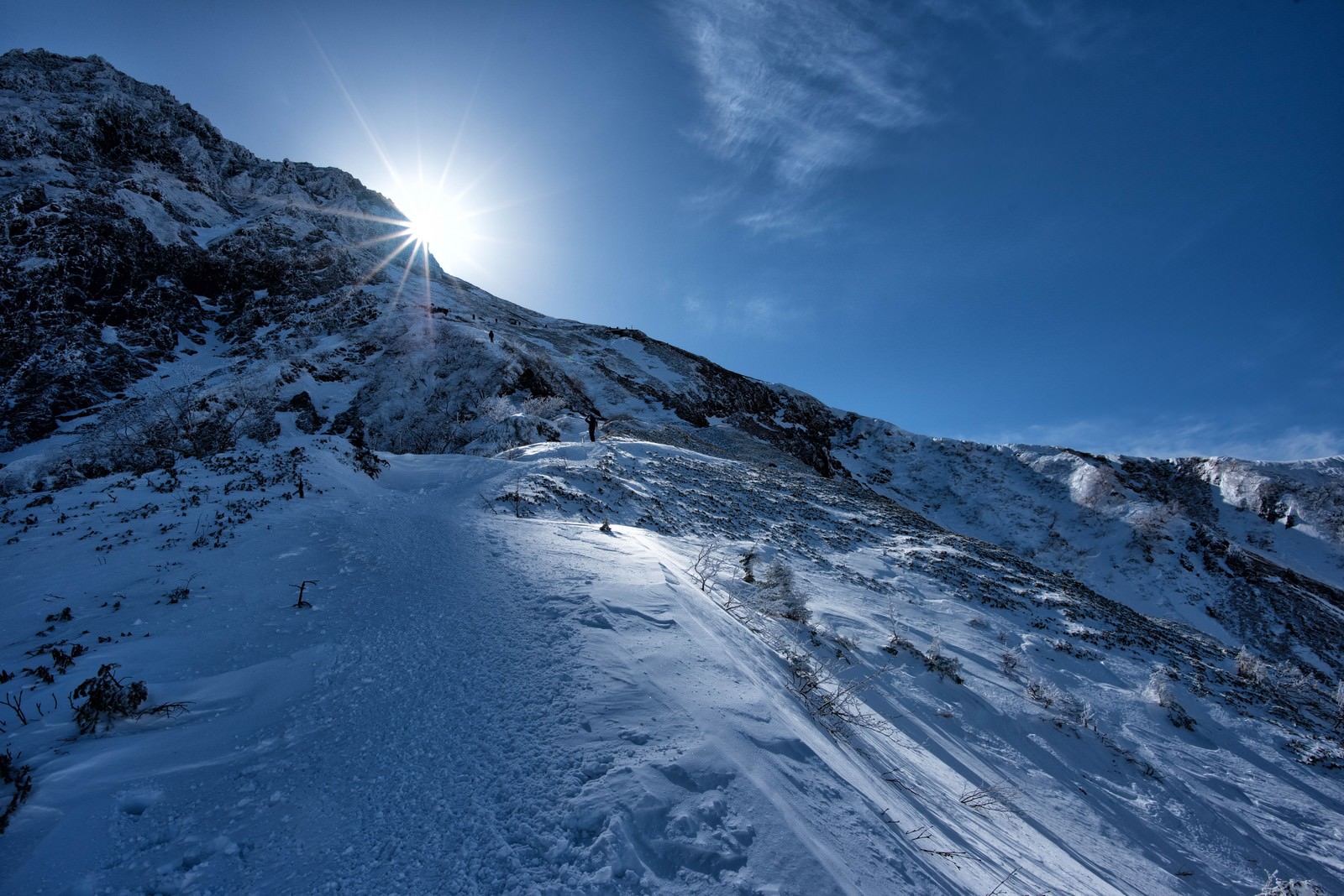 厳冬の雪原を歩く人物の後ろ姿と足跡