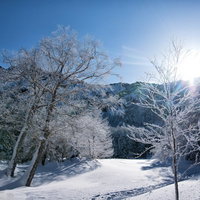 冬の快晴に広がる雪山の稜線と山並みの写真