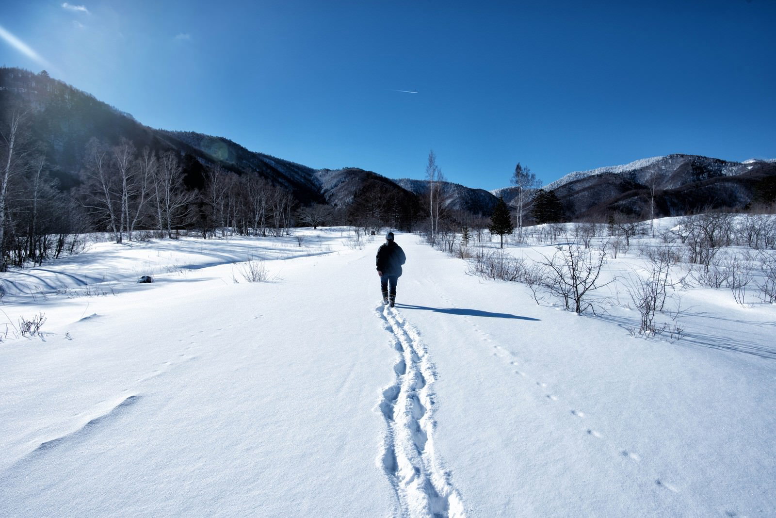 青空の下、新雪に覆われた雪原を歩く人の後ろ姿と足跡