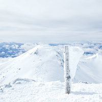 エビの尻尾が成長した乗鞍岳剣ヶ峰の山頂標の写真