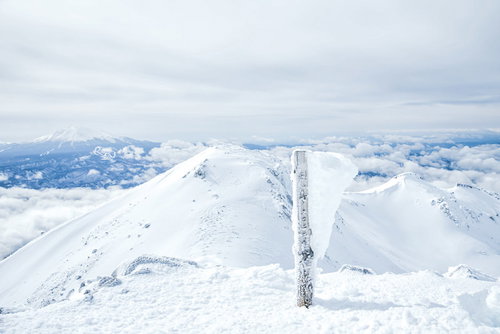 エビの尻尾が成長した乗鞍岳剣ヶ峰の山頂標