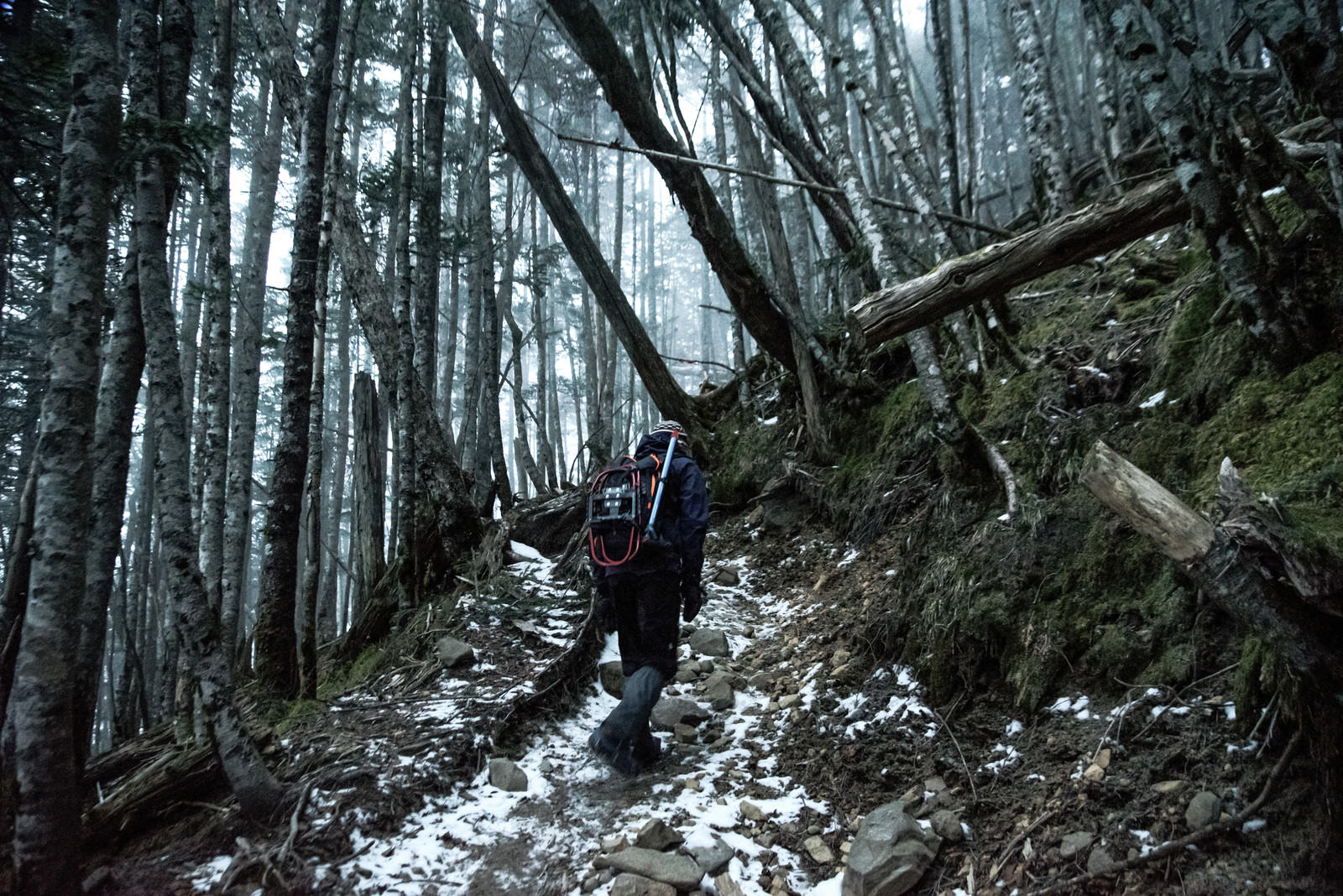 霧に包まれた初冬の森で、倒木のある登山道を散策する登山者