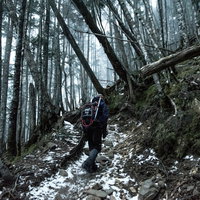 初冬の霧に包まれた森で倒木を越えながら散策する登山者の写真