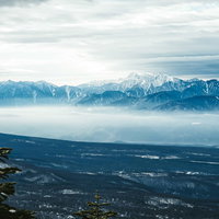 初冬の南アルプスの雪化粧された山脈と針葉樹の冬景色の写真