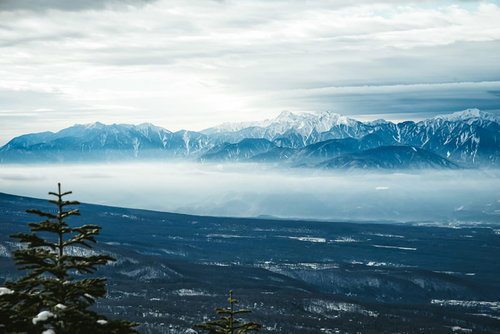 初冬の南アルプスの雪化粧された山脈と針葉樹の冬景色