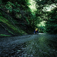緑深い渓谷で沢登りに挑むクライマー（滑滝）の写真