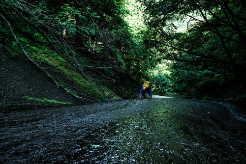 緑深い渓谷で沢登りに挑むクライマー（滑滝）