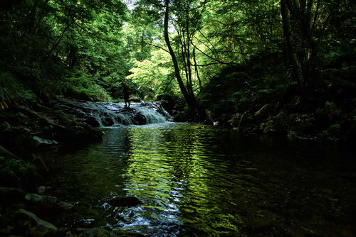 深い森林の渓流で川底を渡り終えた登山者の沢登り