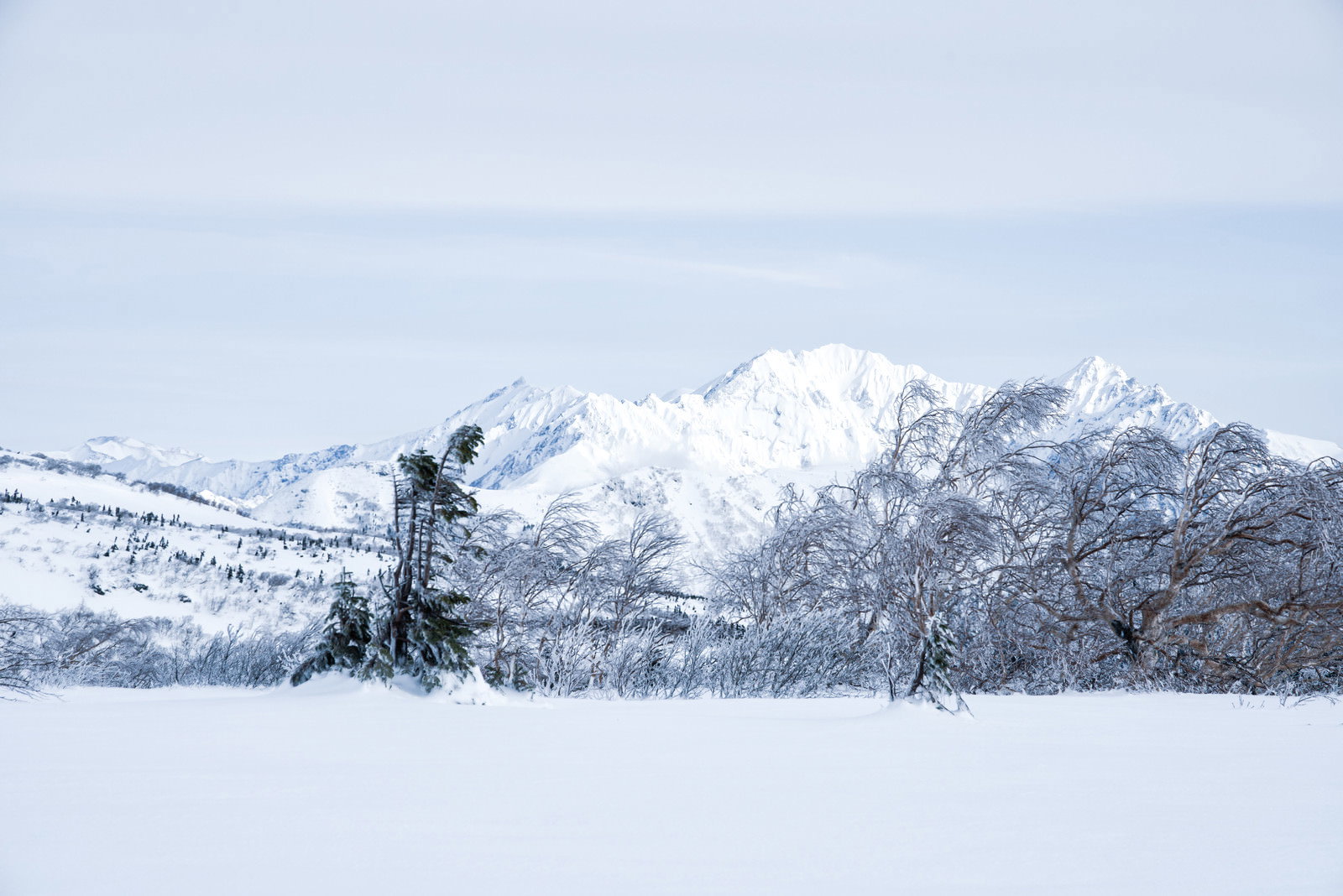 雪化粧した穂高連峰の稜線と雪原が広がる冬の山岳風景