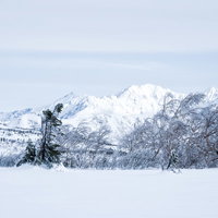 雪化粧した穂高連峰の稜線と広がる雪原（飛騨山脈南部）の写真