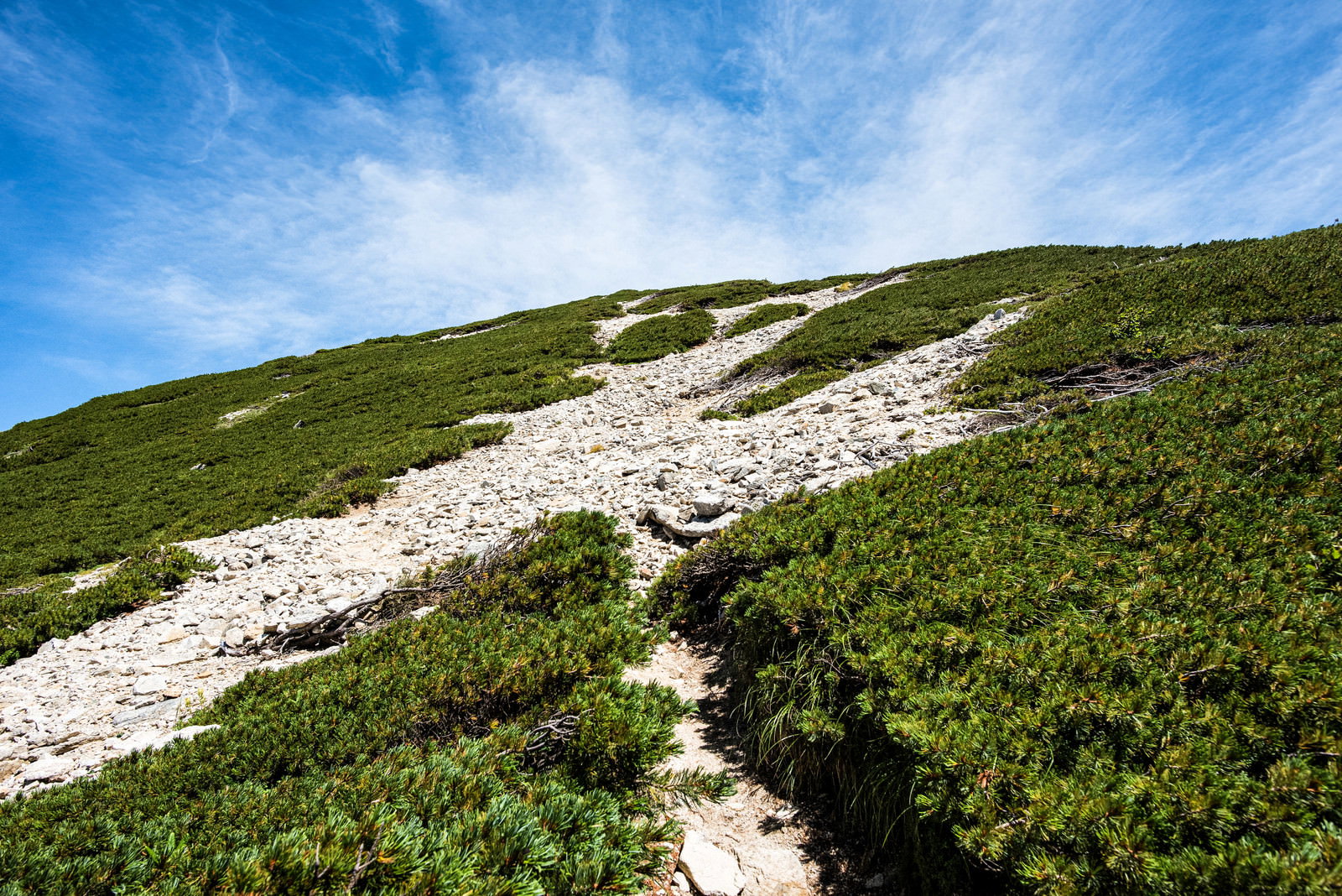 ハイマツに覆われた山の斜面を登る登山道と青空