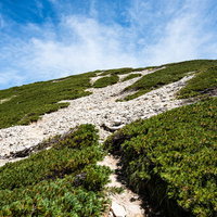 不帰キレット、2峰への緩やかな登り道、岩場とハイマツの山岳風景の写真