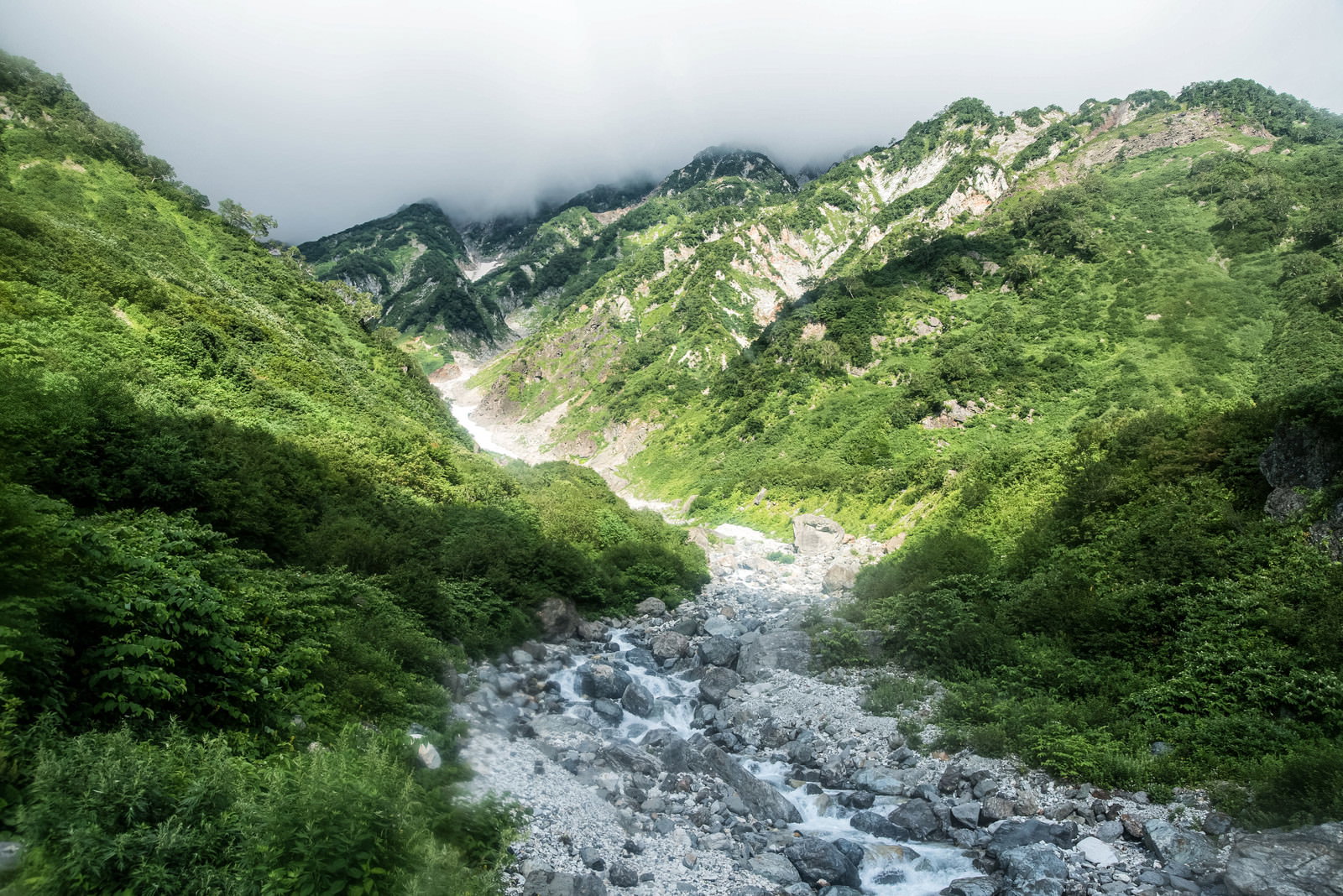 ガスに包まれた白馬岳の山間を流れる渓流と緑豊かな山々