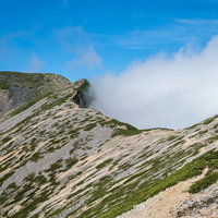 不帰キレット経由で広がる天狗背稜の稜線風景の写真