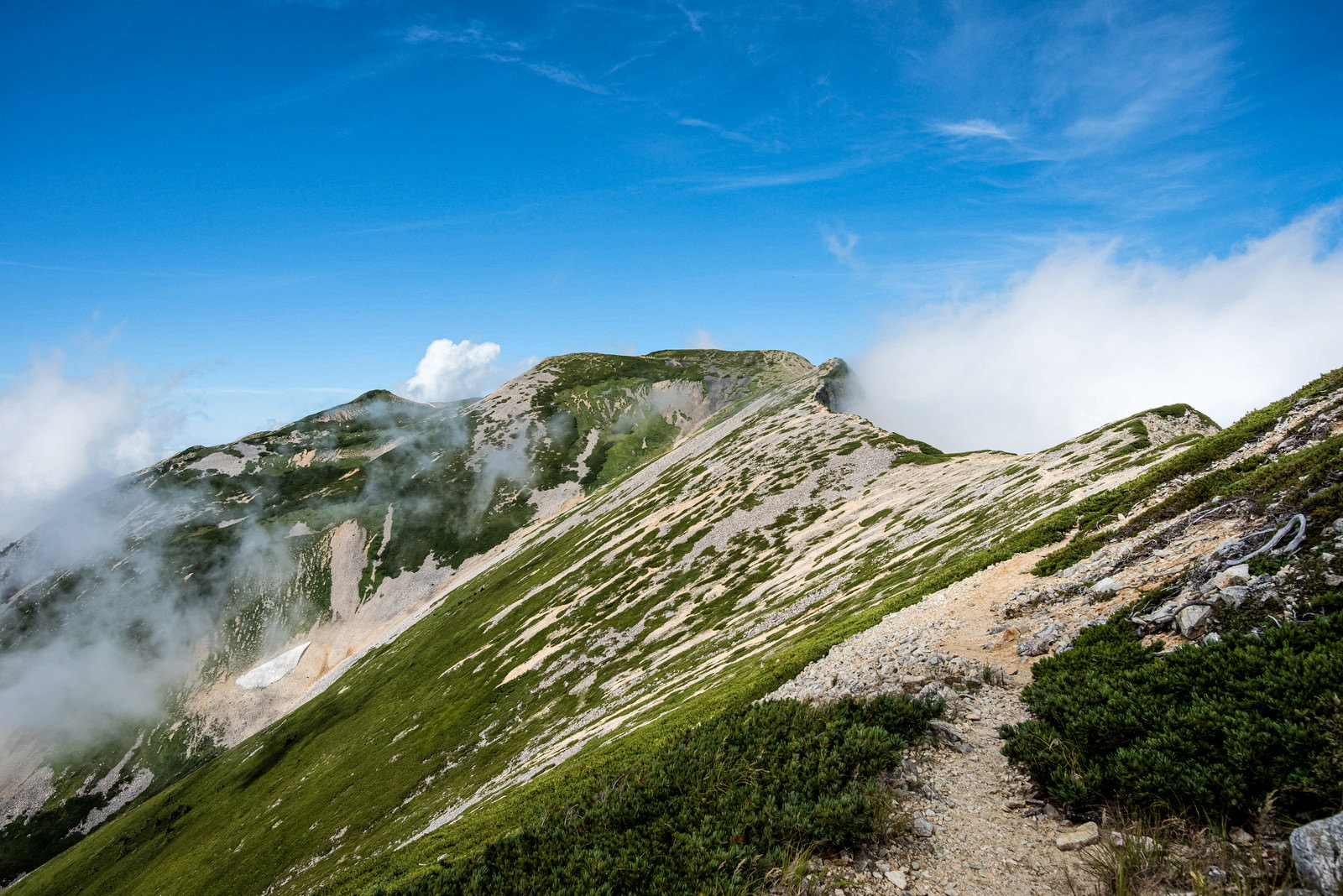 天狗背稜の稜線を歩く登山道と雲海が見える山岳風景