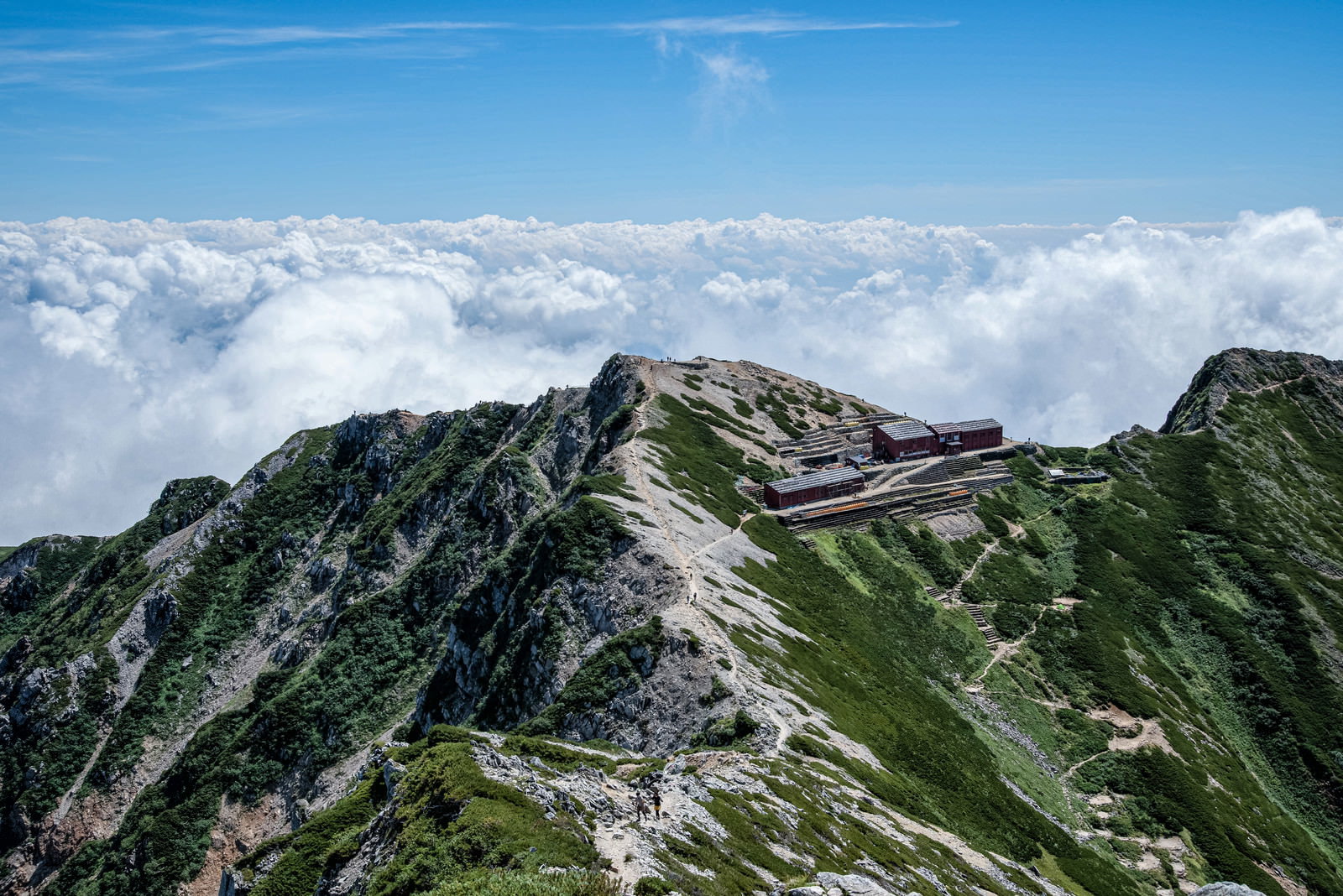 雲海の上に浮かぶ緑の山稜と唐松山荘が見える山岳風景
