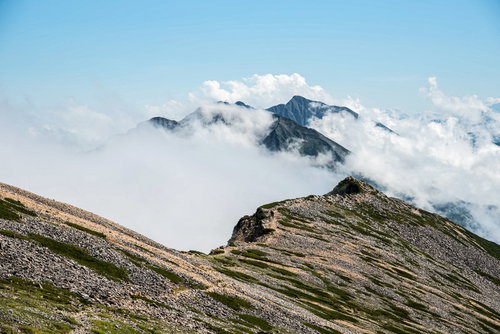 キレット縦走の天狗背稜と唐松岳の雲海に浮かぶ岩稜