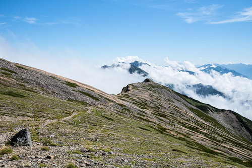 キレット縦走の天狗背稜と雲海に包まれた唐松岳の稜線