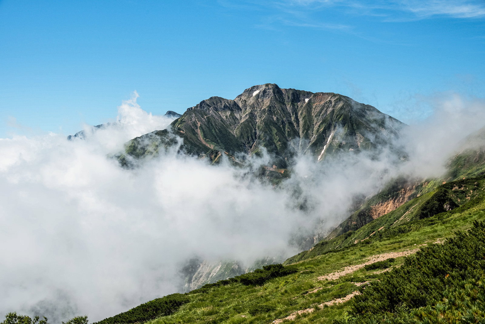 雲海の上に岩肌をのぞかせる五竜岳と手前のハイマツ帯が広がる八方尾根からの眺め