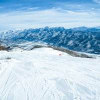 白馬五竜スキー場の雪面に残るシュプールと山々の風景の写真