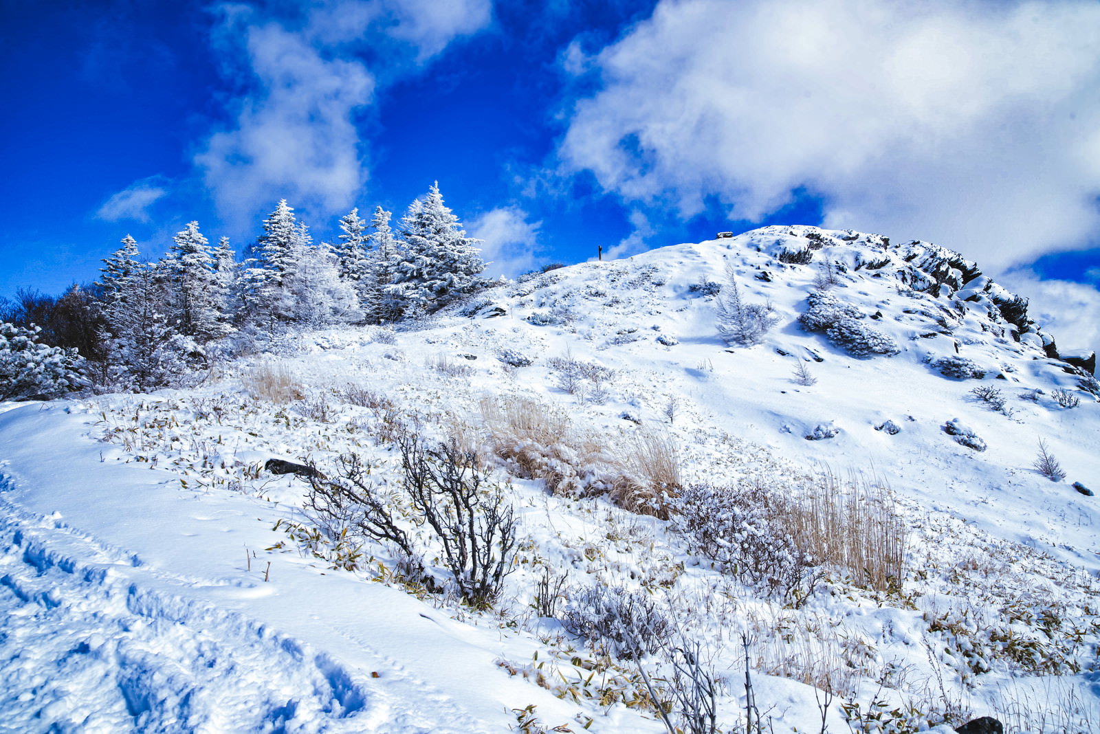 雪に覆われた北アルプスの王ヶ鼻を美ヶ原から望んだ風景