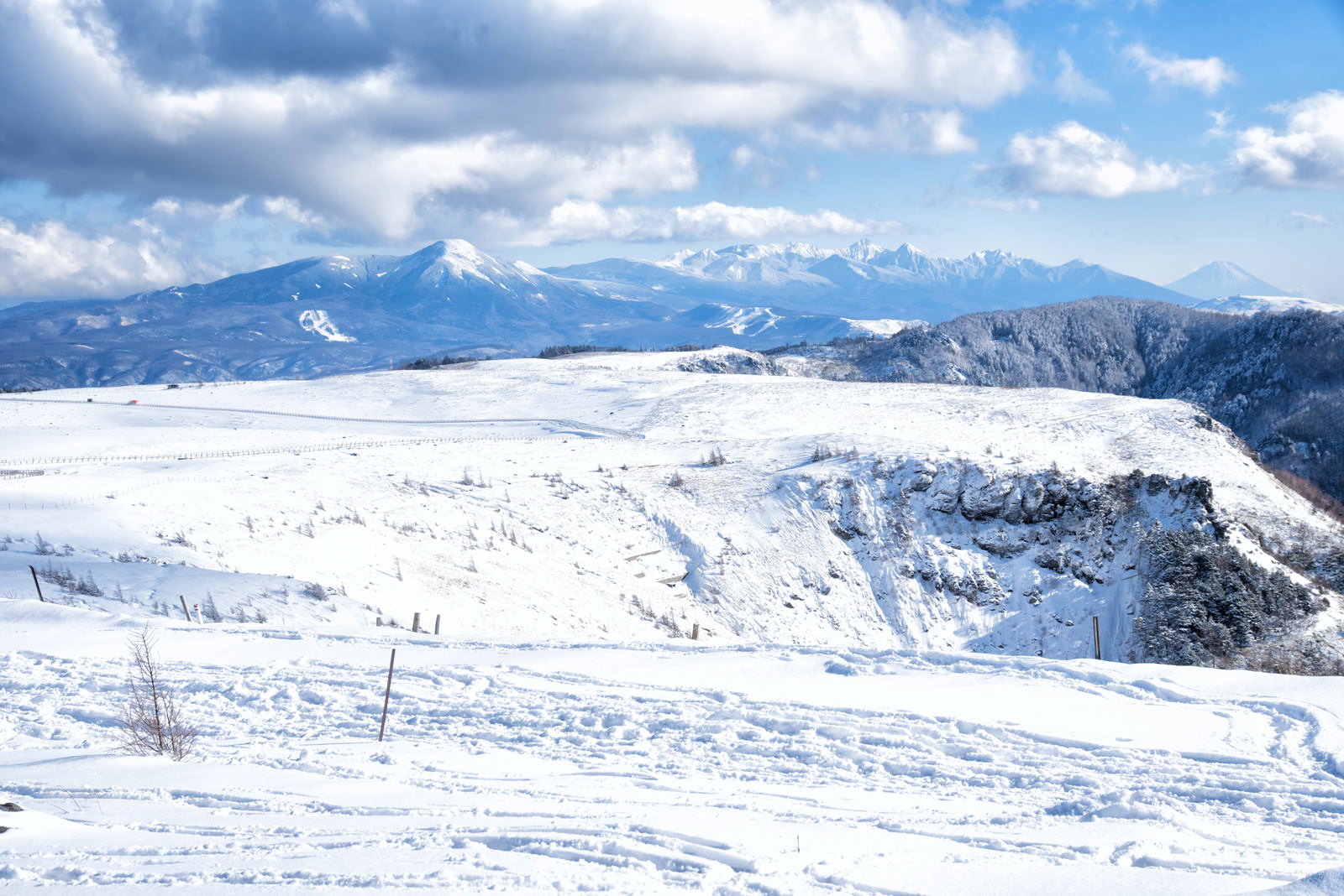 雪に覆われた美ヶ原高原の広大な雪原と背景の雪山