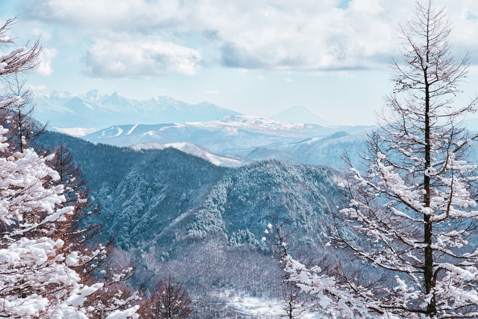 雪に覆われた山々と樹氷が付いた木々が写る一月の美ヶ原の風景