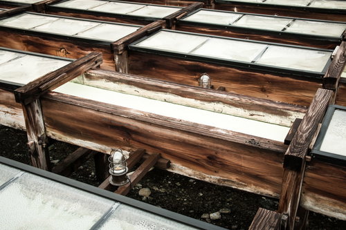 草津温泉の湯畑に並ぶ木の樋と湯の花が付着する源泉風景