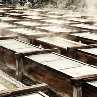 草津温泉の湯畑で立ち上る湯けむりと木製の湯枠の写真