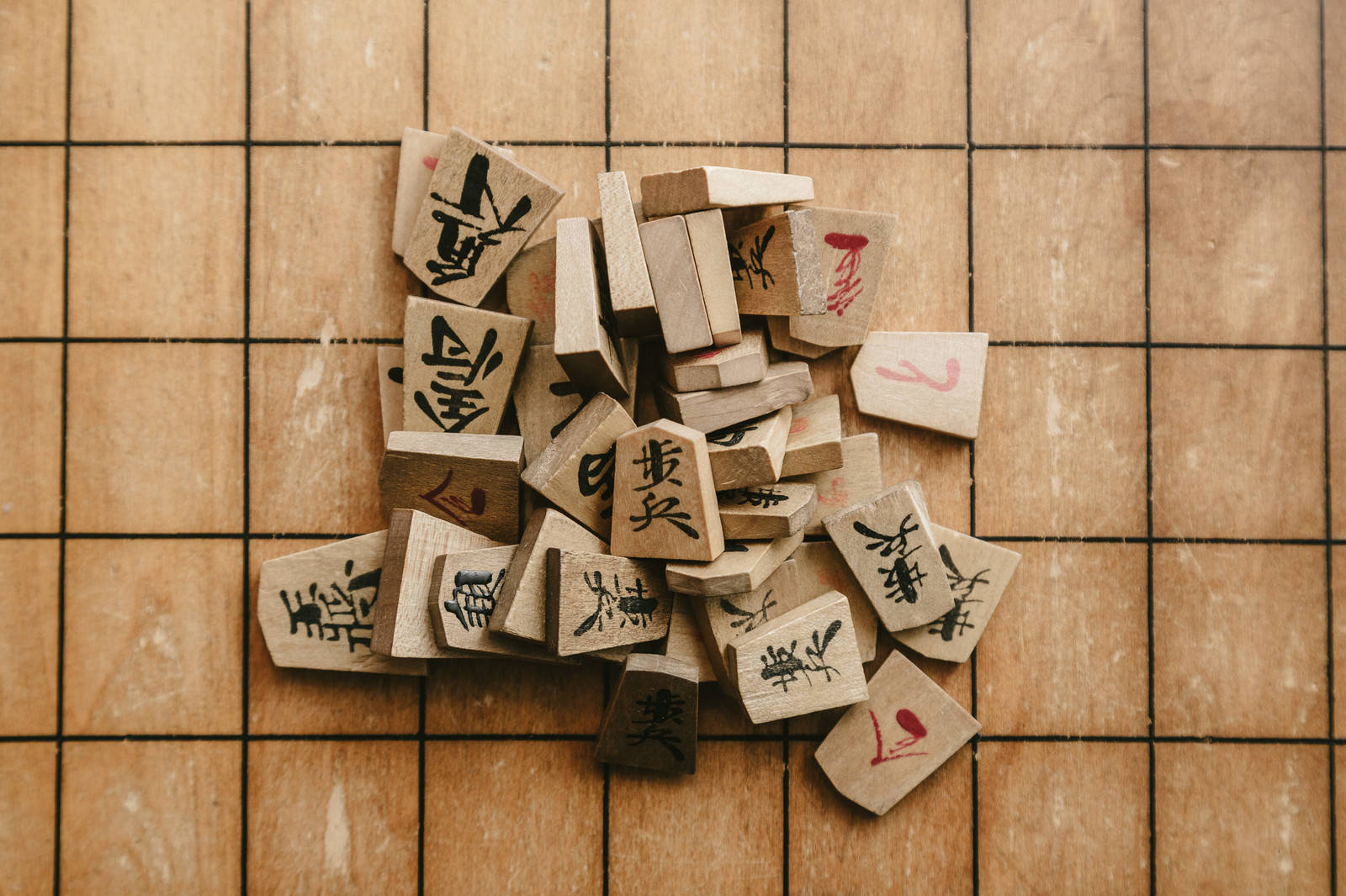 ハエトリソウの捕虫葉のクローズアップ