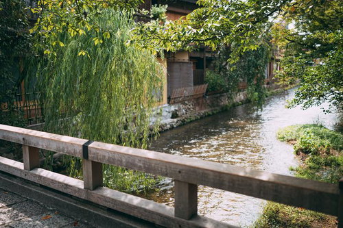 京都・祇園の巽橋から見る白川沿いの町家と柳並木