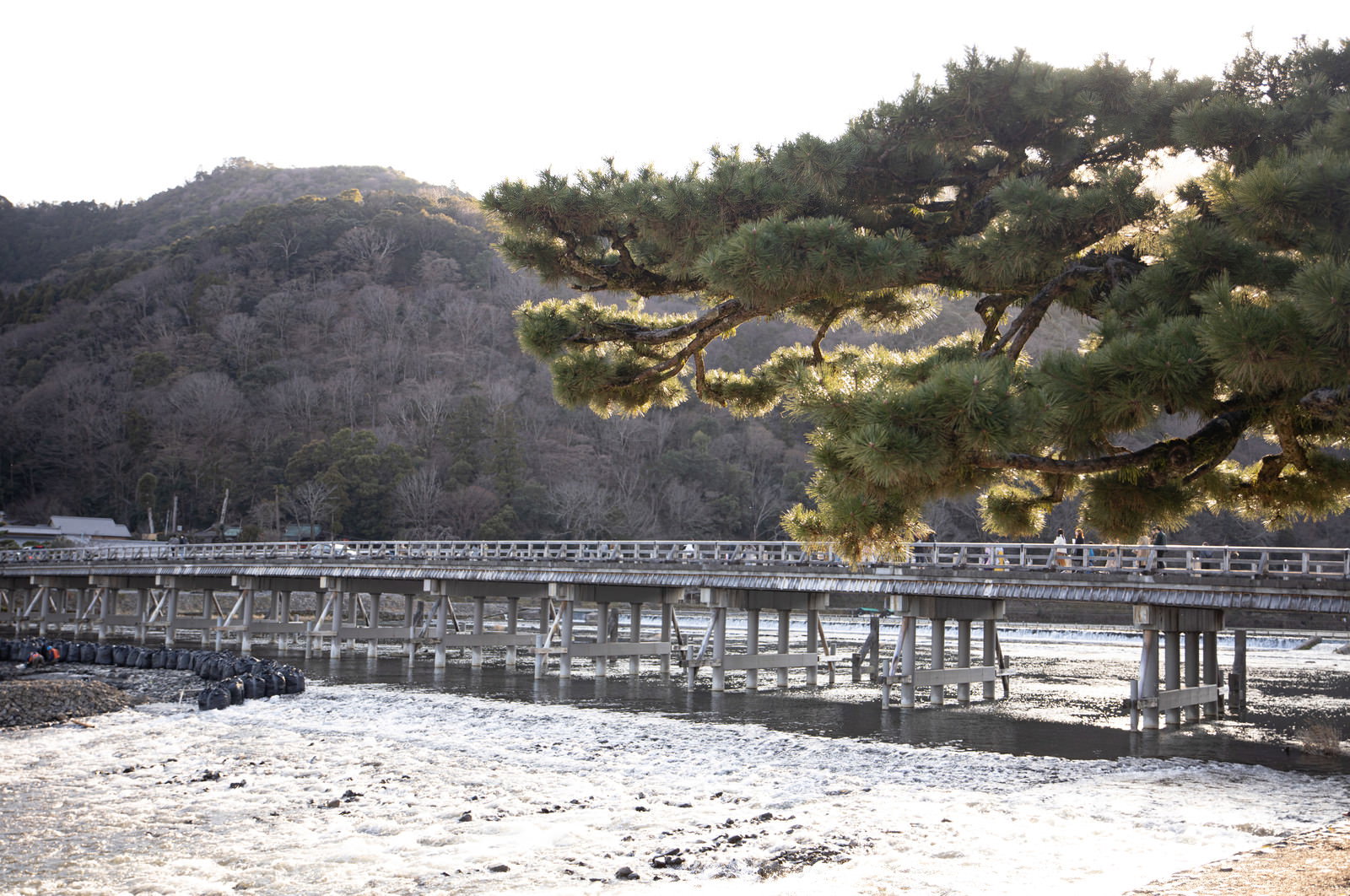 京都嵐山の桂川沿いに並ぶ白い土のうと渡月橋、背景の山並み