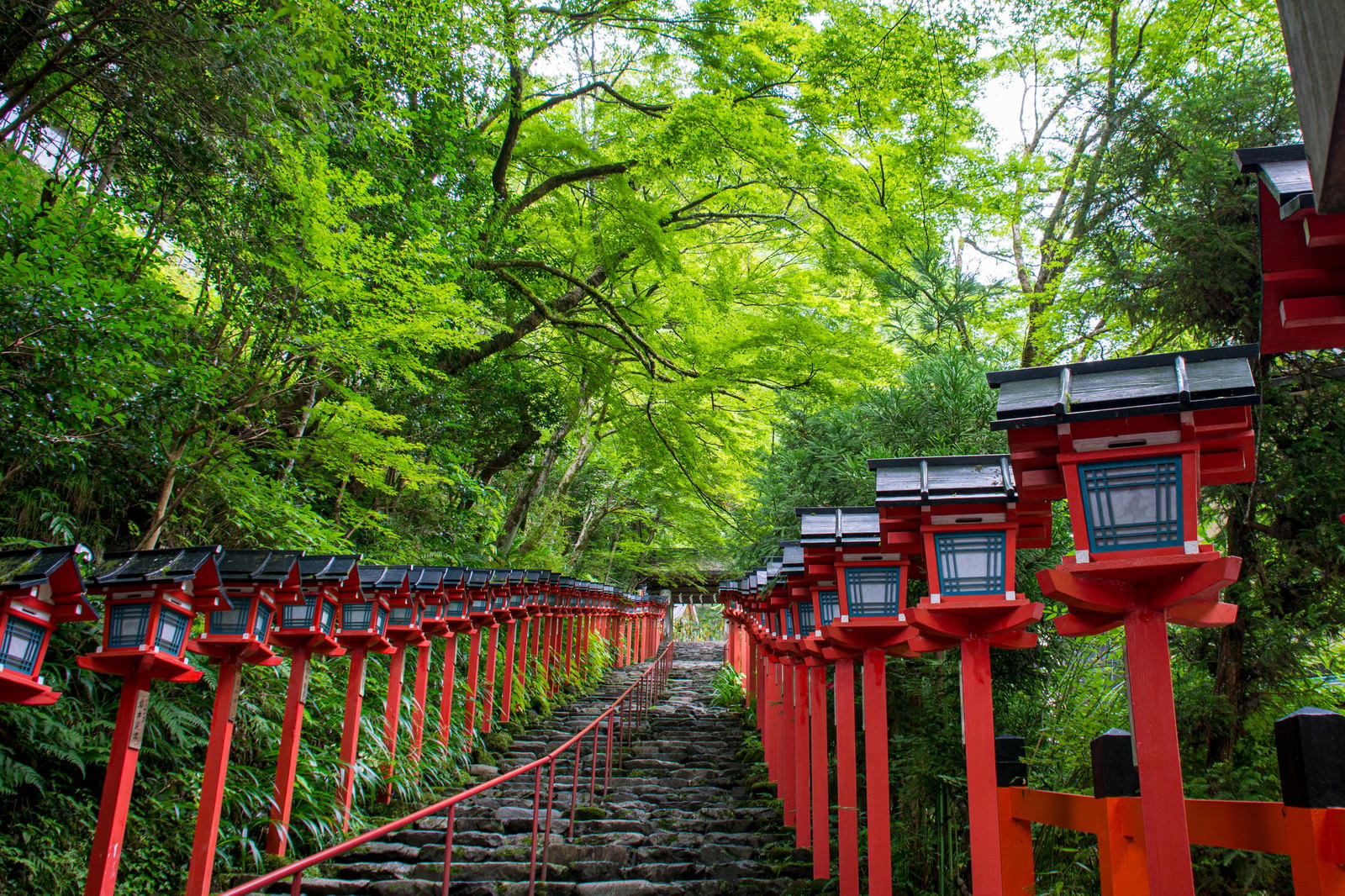 青紅葉に囲まれた京都貴船神社の石段と赤い灯籠が並ぶ参道