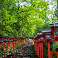 青紅葉に赤い灯篭が映える京都貴船神社入り口の石段の写真