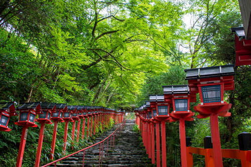 青紅葉に赤い灯篭が映える京都貴船神社入り口の石段