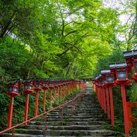 雨上がりの早朝の貴船神社入り口の石段（京都）の写真